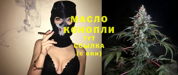 крисы Магас