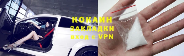 крисы Магас