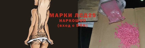 крисы Магас
