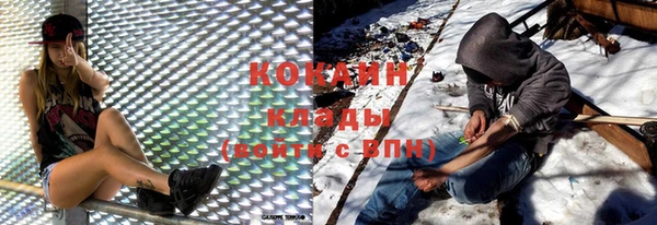 крисы Магас
