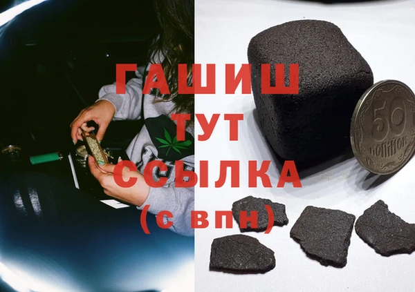 крисы Магас