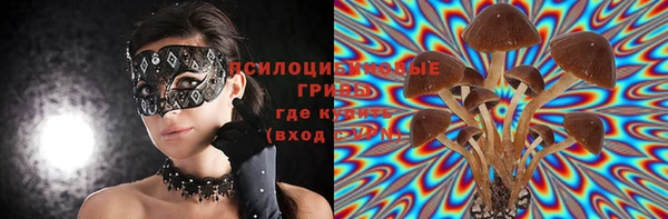крисы Магас