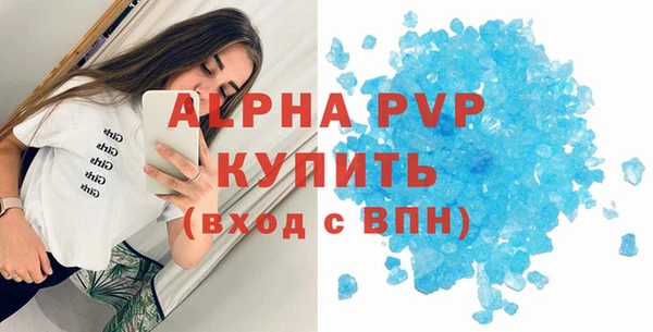 крисы Магас