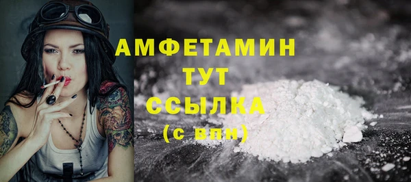 крисы Магас