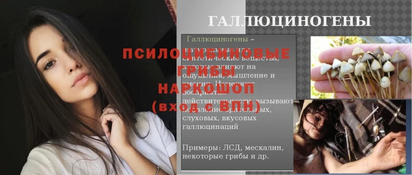 крисы Магас